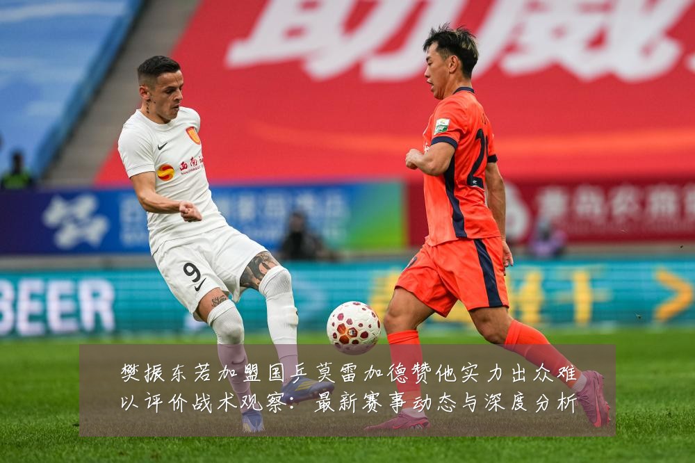 樊振东若加盟国乒莫雷加德赞他实力出众难以评价战术观察：最新赛事动态与深度分析